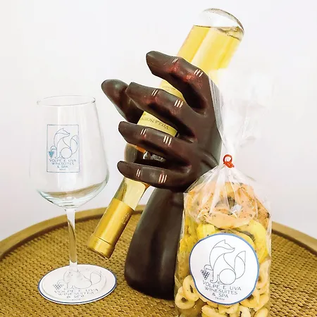 Volpe E Uva Winesuites & 特拉尼